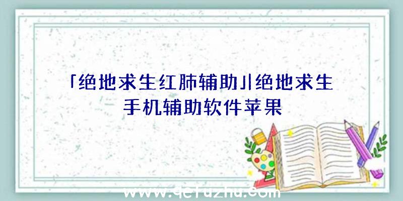 「绝地求生红肺辅助」|绝地求生手机辅助软件苹果